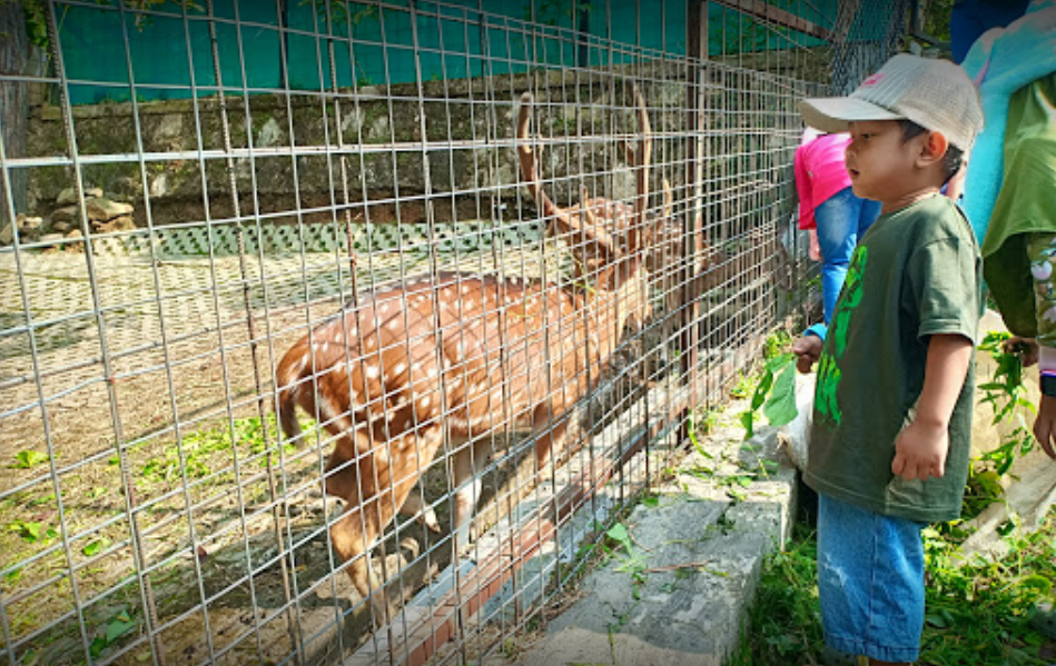 Bogor Mini Zoo hewan