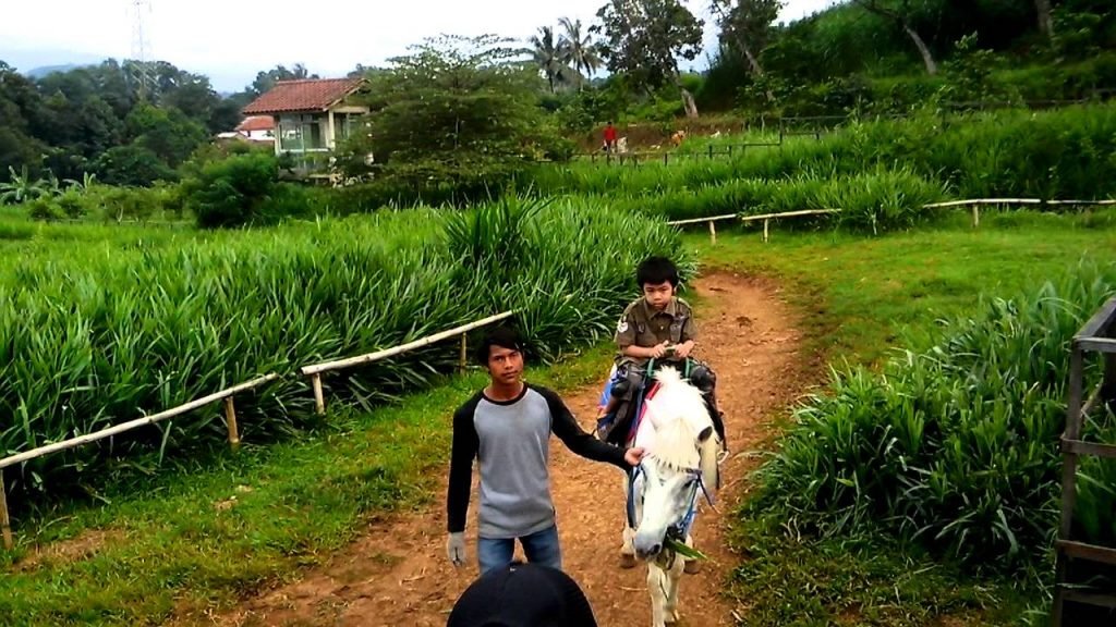 Kuntum Farmfield Bogor naik kuda