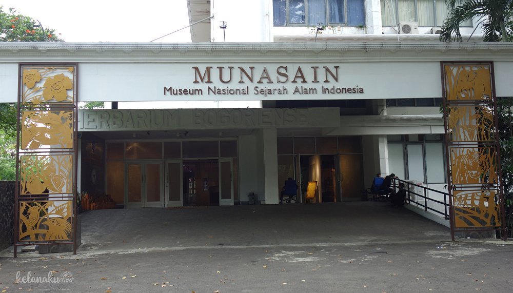 museum nasional