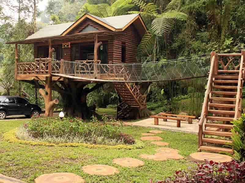 Hotel Taman Safari, Pemandangan staycation