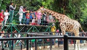 satu Tempat Wisata di Surabaya : Kebun Binatang Surabaya