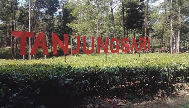 Tanjung Sari Bogor : Berinteraksi Dengan Rusa-Rusa Di Alam | Sentul.city