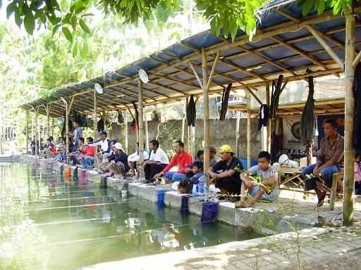 Pemancingan Keluarga Di Bogor : Fishing Valley - Sentul.City