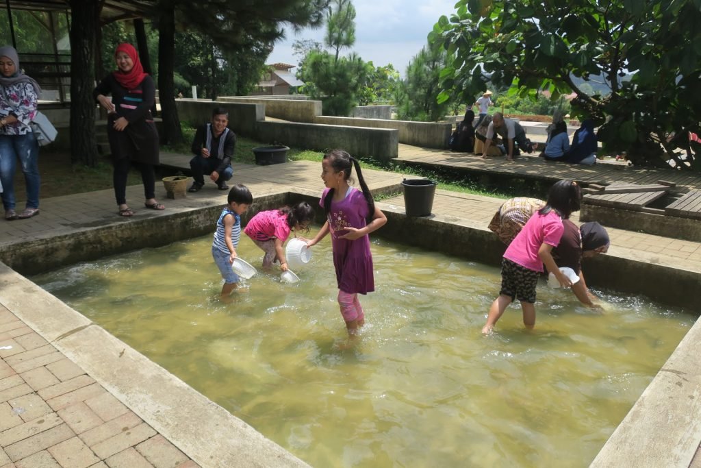 Kuntum farmfield : Menjadikan Destinasi Wisata Yang Bernilai - Sentul.City