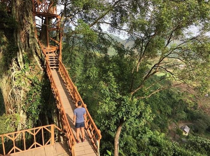Rumah Pohon Curug Ciherang Spot Bagus Buat Foto Foto