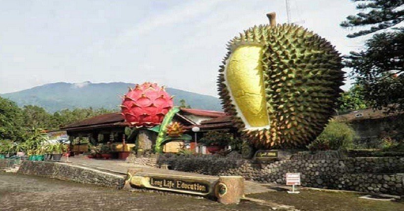 Warso Farm : Menikmati Wisata Durian Di Bogor