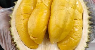 Durian Musang King, Durian Khusus Yang Berasal Dari Negeri Jiran