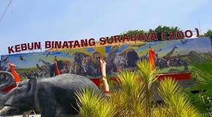 Tempat Wisata di Surabaya : Kebun Binatang Surabaya