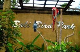 Bali Bird Park : Wisata Edukasi yang Asik dan Menyenangkan
