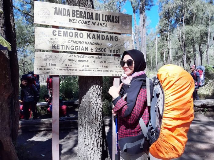 Cemoro Kandang : Objek Wisata Instagramable Di Gunung Lawu
